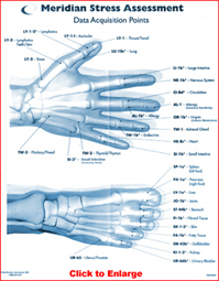 Biomeridian stress assessment